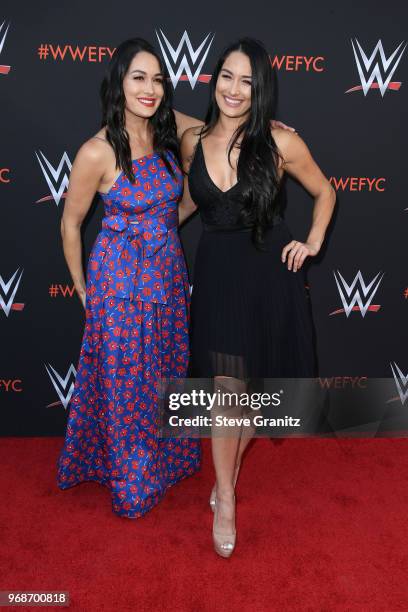 Brie Bella and Nikki Bella attend WWE's first-ever Emmy "For Your Consideration" event at Saban Media Center on June 6, 2018 in North Hollywood,...