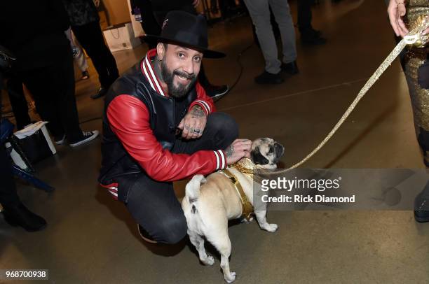 McLean of Backstreet Boys and Doug The Pug attend the 2018 CMT Music Awards - Backstage & Audience at Bridgestone Arena on June 6, 2018 in Nashville,...