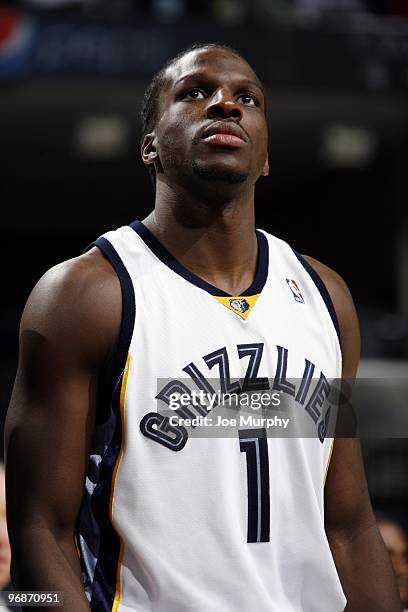 DeMarre Carroll of the Memphis Grizzlies looks on during the game against the Minnesota Timberwolves at the FedExForum on January 15, 2010 in...