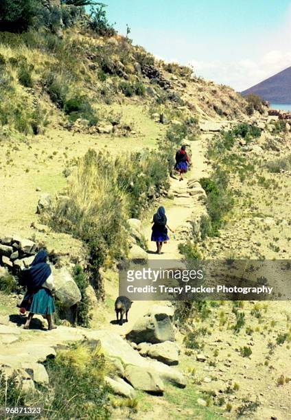 walking to work on taquile island, lake titicaca. - région de puno photos et images de collection