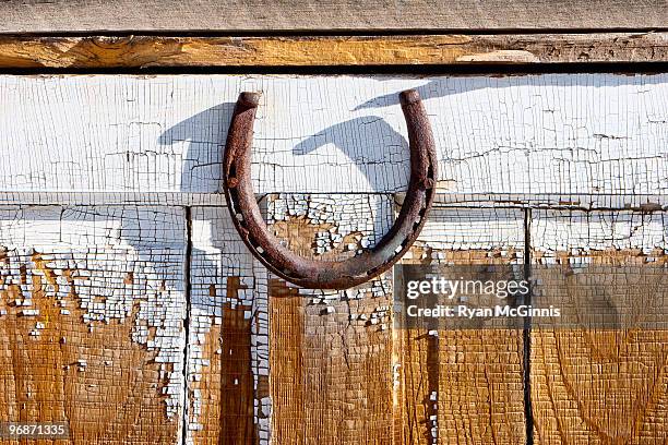 horseshoe - ryan mcginnis stock pictures, royalty-free photos & images
