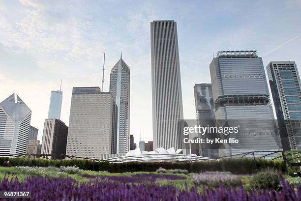 millennium park - ken ilio fotografías e imágenes de stock