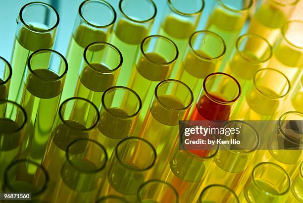 test tubes   - ken ilio stock pictures, royalty-free photos & images