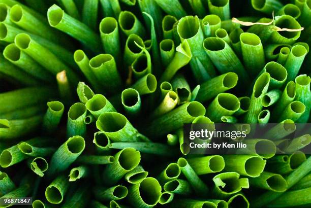 green onions - spring onion stock pictures, royalty-free photos & images