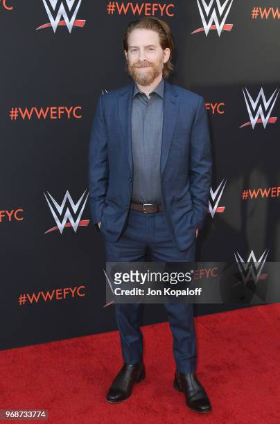 Seth Green attends WWE's First-Ever Emmy "For Your Consideration" Event at Saban Media Center on June 6, 2018 in North Hollywood, California.