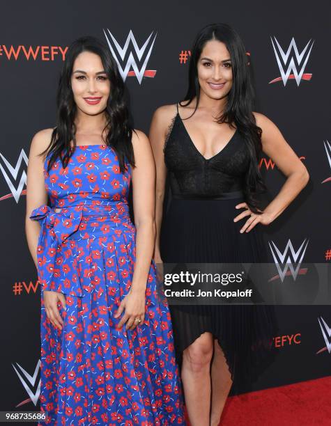 Brie Bella and Nikki Bella attend WWE's First-Ever Emmy "For Your Consideration" Event at Saban Media Center on June 6, 2018 in North Hollywood,...