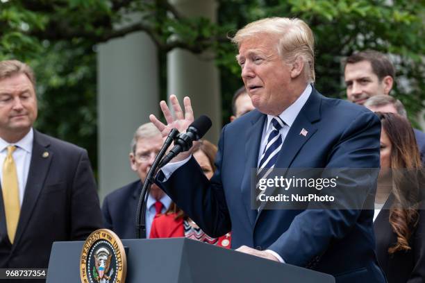 President Donald Trump speaks before he signs S. 2372, the VA Mission Act of 2018 at a ceremony in the Rose Garden of the White House, on Wednesday,...