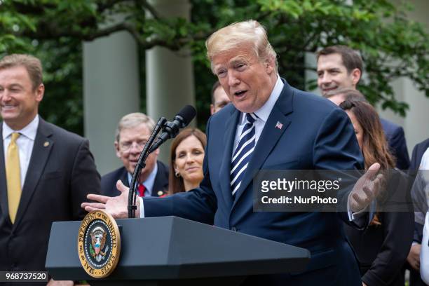 President Donald Trump speaks before he signs S. 2372, the VA Mission Act of 2018 at a ceremony in the Rose Garden of the White House, on Wednesday,...