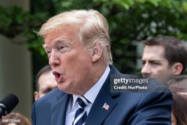 President Donald Trump speaks before he signs S. 2372, the VA Mission Act of 2018 at a ceremony in the Rose Garden of the White House, on Wednesday,...