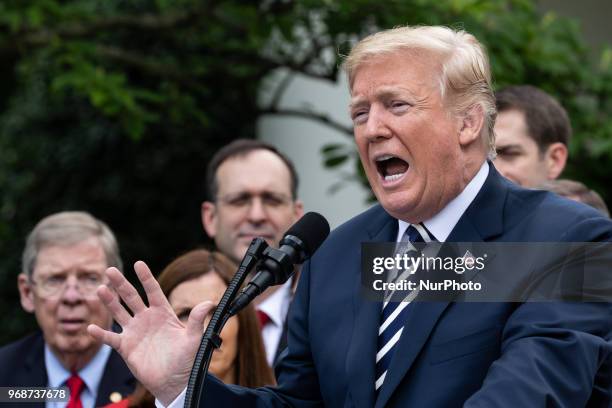 President Donald Trump speaks before he signs S. 2372, the VA Mission Act of 2018 at a ceremony in the Rose Garden of the White House, on Wednesday,...