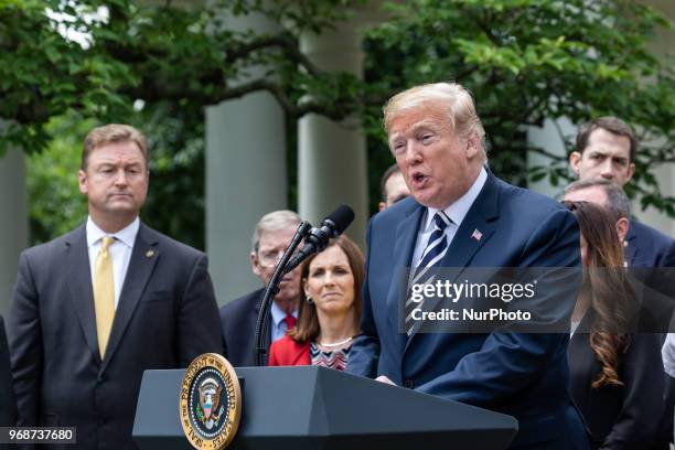 President Donald Trump speaks before he signs S. 2372, the VA Mission Act of 2018 at a ceremony in the Rose Garden of the White House, on Wednesday,...