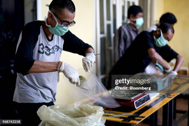 Workers pack kratom powder at a facility operated by Butterfly Botanical in Pontianak, West Kalimantan, Indonesia, on Friday, May 4, 2018. Kratom, a...