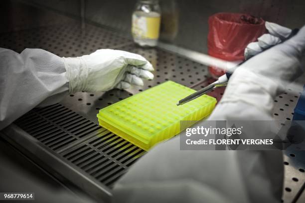 P3 Laboratory Photos and Premium High Res Pictures - Getty Images