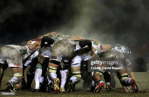 553 Scrummaging Stock Photos, High-Res Pictures, and Images - Getty Images