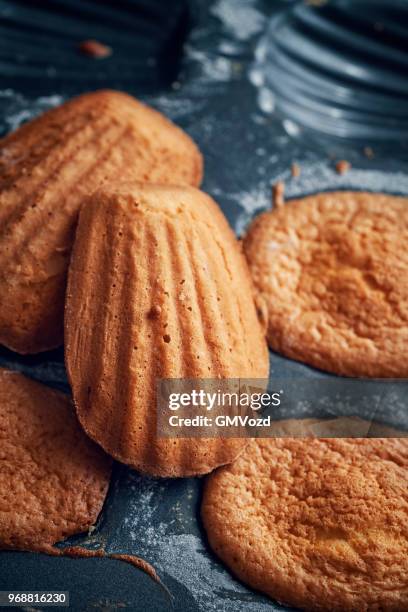 baking homemade madeleine cakes - madeleine sponge cake stock pictures, royalty-free photos & images