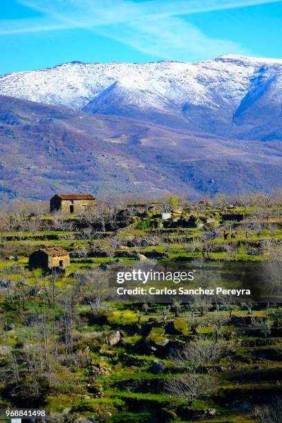 rural scene in spain - jerte fotografías e imágenes de stock