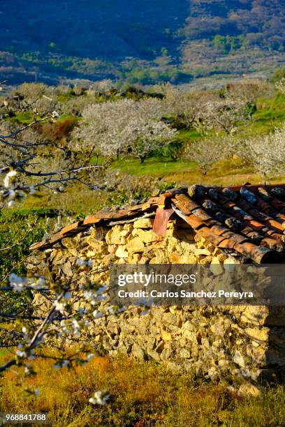 rural scene in spain - jerte fotografías e imágenes de stock