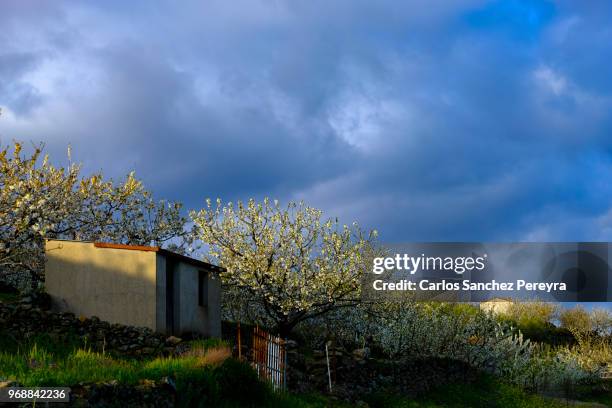 rural scene in spain - jerte fotografías e imágenes de stock