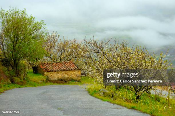 road in rural scene in spain - jerte fotografías e imágenes de stock