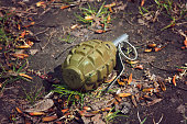 hand grenade grenade lying on the ground