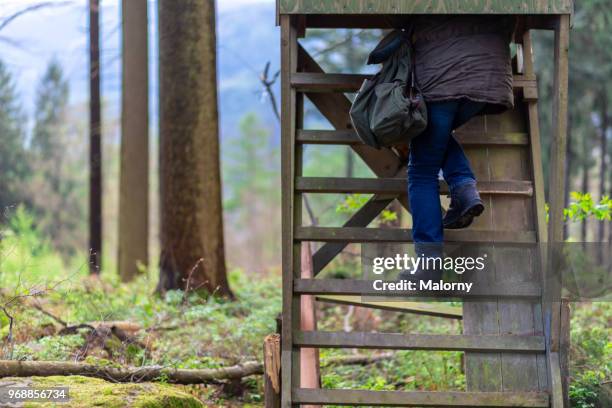 Timber Ridge Woman Timber Ridge Photos and Premium High Res Pictures - Getty Images