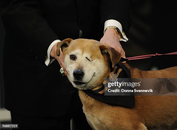 S Second Annual Mutt Show" aired on Friday, Feb. 19, 2010 airing on the Disney General Entertainment Content via Getty Images Television Network....