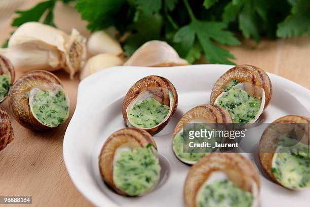 snails with butter garlic and parsley - slätpersilja bildbanksfoton och bilder