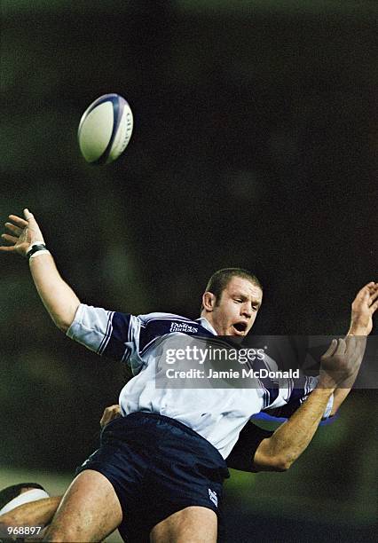 Jason Boxall Rugby 832 Jason White Rugby Player Stock Photos, High-Res Pictures, and ...