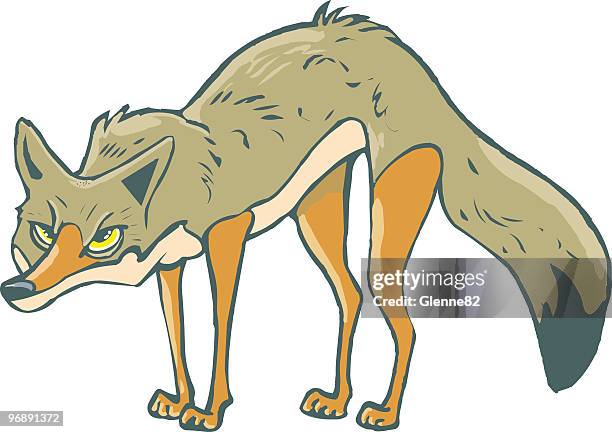 coyote - coyote stock illustrations