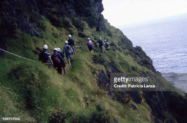View of a group of climbers as they follow a safety ropes along a cliff on Mt Gower, Lord Howe Island, Australia, May 2001.