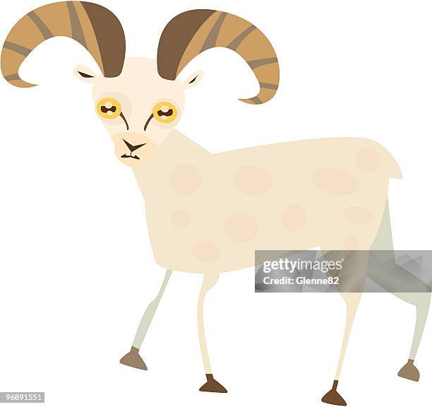 dall's sheep - dall sheep stock illustrations