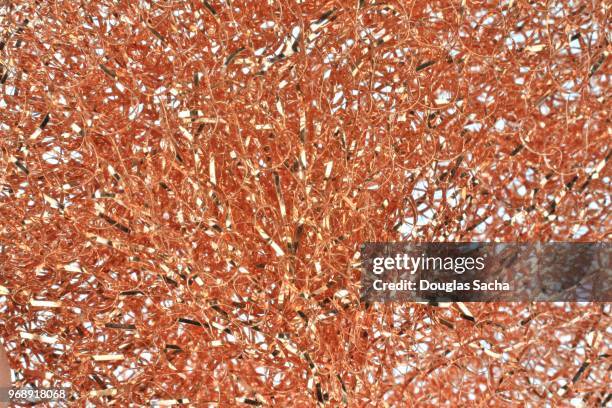 full frame of a scrubbing pad used as drug paraphernalia as a makeshift  crack cocaine pipe - bronze alloy stock pictures, royalty-free photos & images