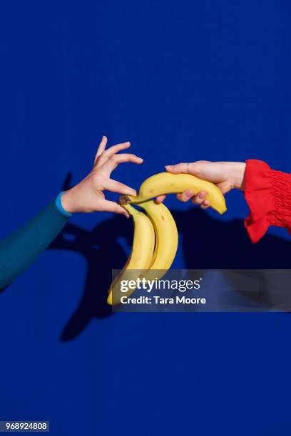 hand picking banana - fotografia da studio fotografías e imágenes de stock