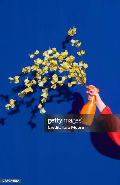 spray bottle with flowers coming out - perfume sprayer bildbanksfoton och bilder