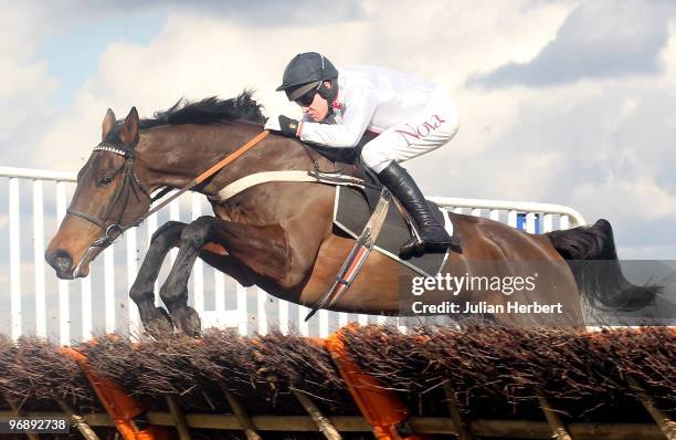 Barry Geraghty and Finian's Rainbow clear an early flight before winning The Hope Safe T-Bar novices' Hurdle Race run at Ascot Racecourse on February...