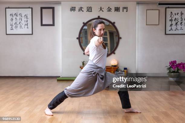 formazione di arte marziale in studio - kung fu foto e immagini stock