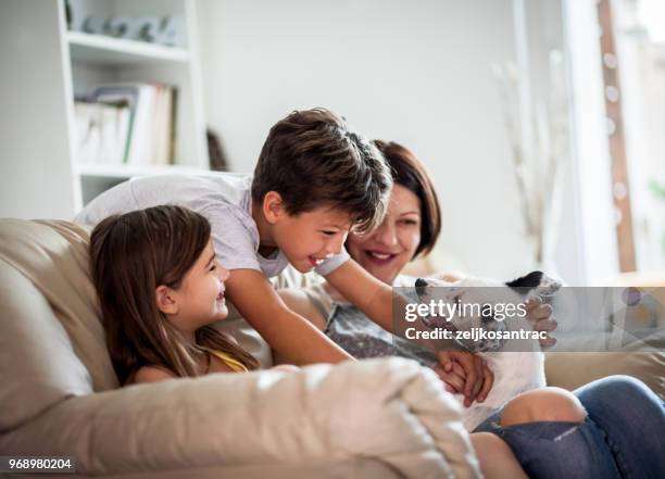 happy family playing with her dog - family indoor stock pictures, royalty-free photos & images