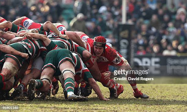 Luke Narraway of Gloucester packs down during the Guinness Premiership match between Leicester Tigers and Gloucester at Welford Road on February 20,...