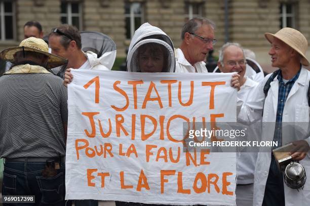 Beekeeper holds a banner reading "A legal status for the fauna and flora" during a demonstration in Strasbourg, eastern France, on June 7, 2018. -...