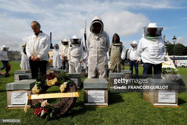 Beekeepers take part in a demonstration at the Esplanade des Invalides in Paris on June 7 during a national day of action of French beekeepers. - The...