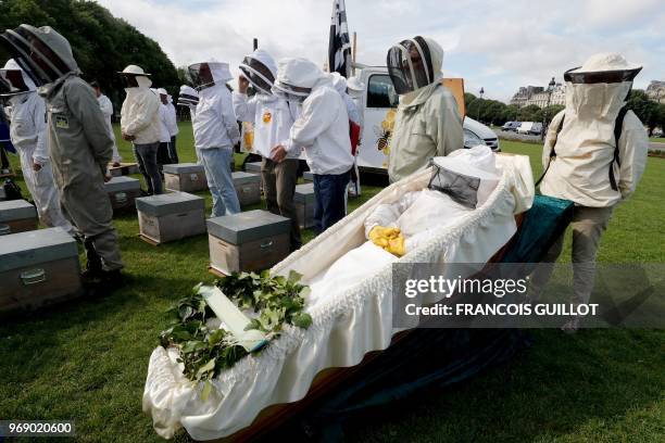 Beekeepers take part in a demonstration at the Esplanade des Invalides in Paris on June 7 during a national day of action of French beekeepers. - The...