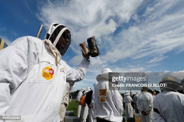 Beekeepers take part in a demonstration at the Esplanade des Invalides in Paris on June 7 during a national day of action of French beekeepers. - The...