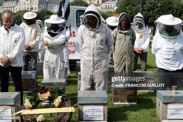 Beekeepers take part in a demonstration at the Esplanade des Invalides in Paris on June 7 during a national day of action of French beekeepers. - The...