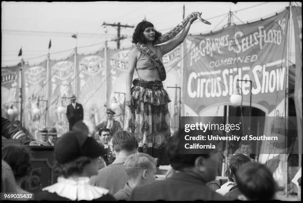 Circus Rqq 123 Barnes Circus Stock Photos, High-Res Pictures, and Images - Getty ...