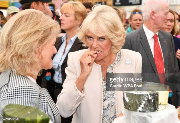 Camilla, Duchess of Cornwall attends the Royal Cornwall Show on June 7, 2018 in Wadebridge, England.