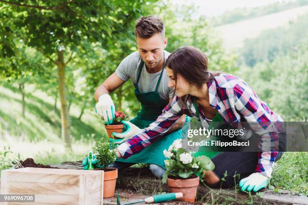 giovane coppia di adulti che fa giardinaggio insieme - gardening foto e immagini stock