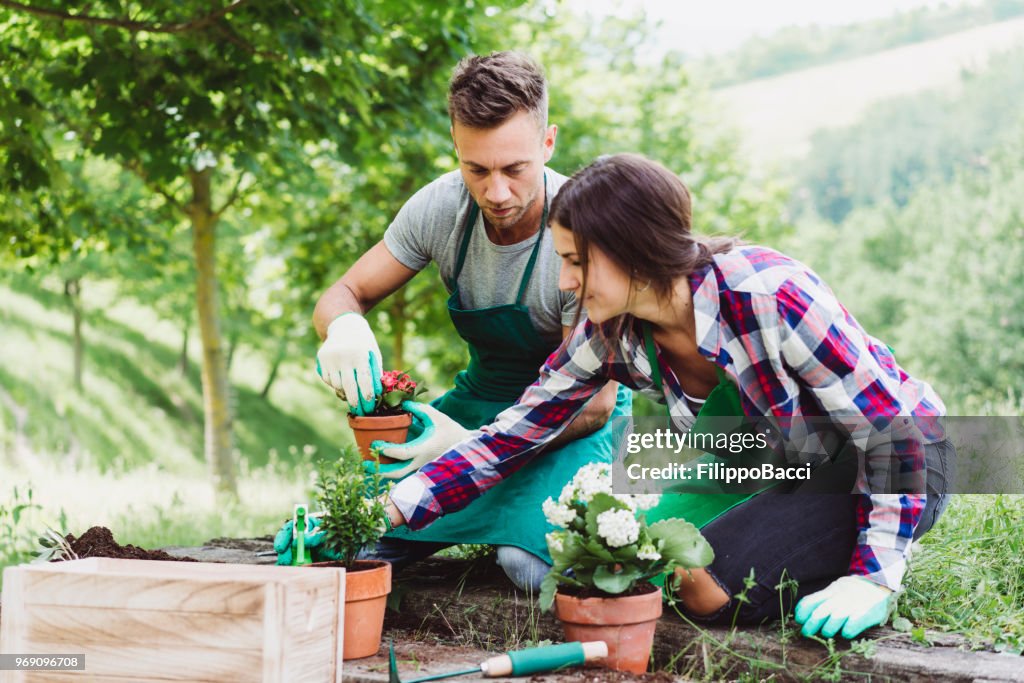 Young adult couple doing gardening together