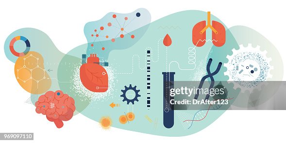 Biomedical Engineering Colours Pattern Biomedical Engineering Horizontal High-Res Vector Graphic - Getty Images