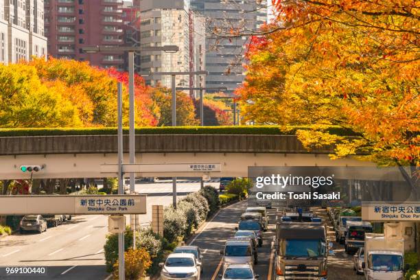 autumn leaves trees stand along both side of street among shinjuku subcenter buildings at nishi-shinjuku, tokyo japan on november 24 2017. city traffic goes through under the elevated walkway. - nishi shinjuku fotografías e imágenes de stock