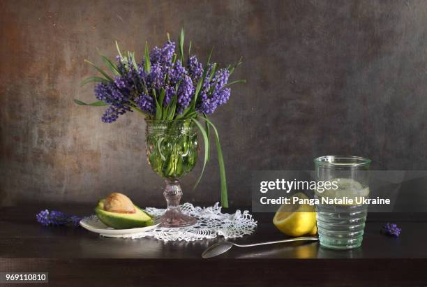 muscari armeniacum, avocado and lemon - muscari armeniacum stock pictures, royalty-free photos & images